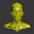 Human Head Anatomical 3D Model Showing Facial Organs Hair And Muscle Layers