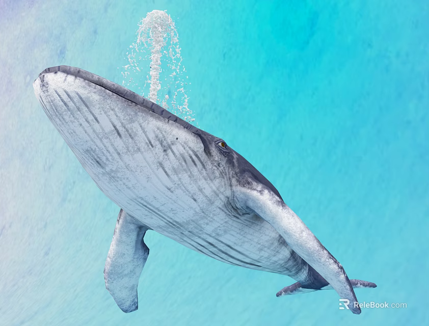 Majestic Whale Spouting Water While Lifting Head in Deep Blue Ocean Water 3d model