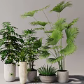 Various Green Potted Plants With Different Material Pots For Indoor Decoration 3d model