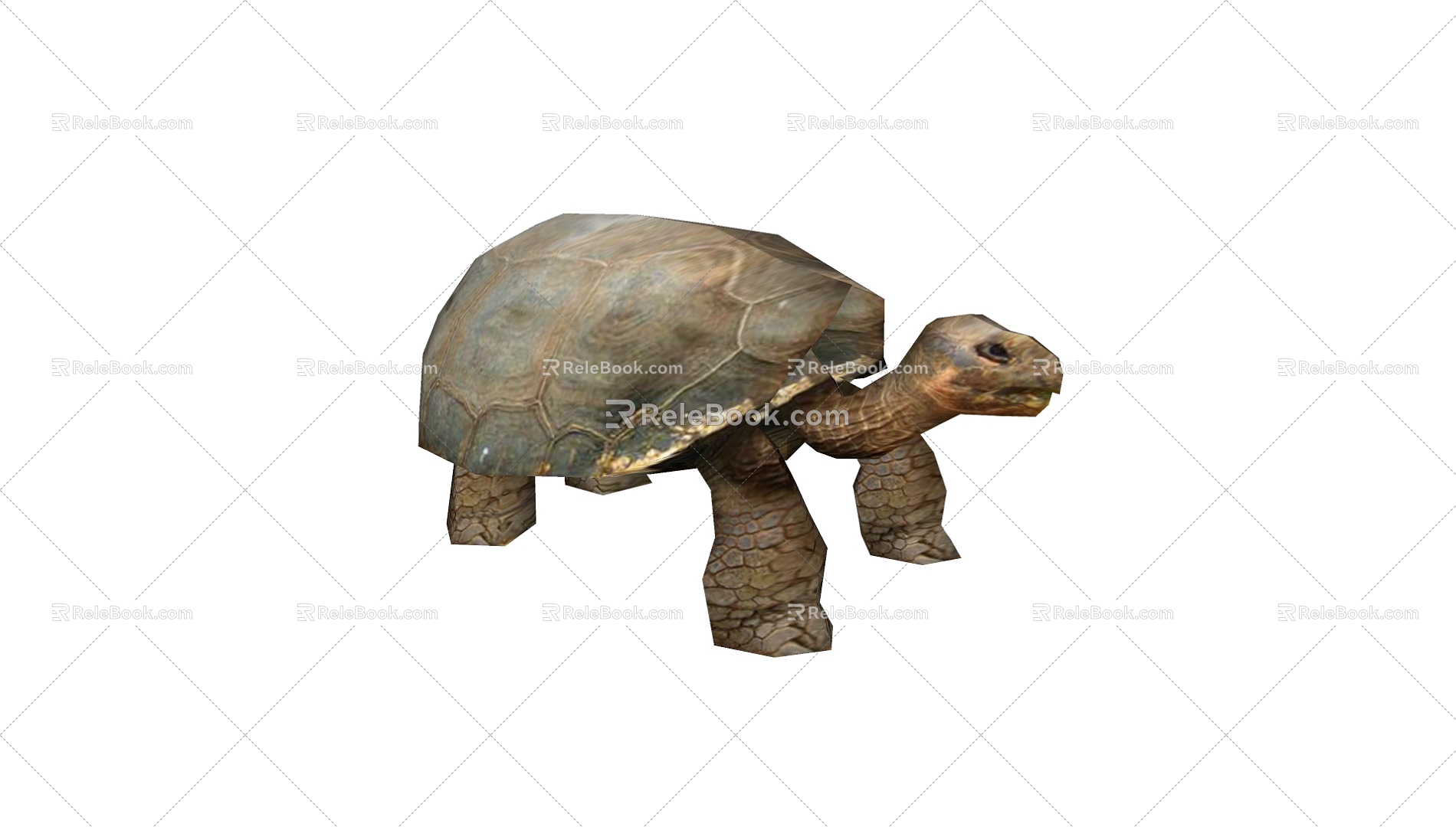 Turtle 3d model