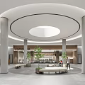 School Lobby Interior With Circular Ceiling Skylight White Pillars And Green Plants 3d model
