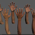 Realistic 3D Models of Human Arms and Hands in Various Poses and Skin Tones