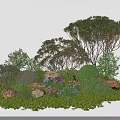 Garden Landscape Design With Various Trees Shrubs Rocks And Colorful Flowers