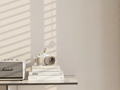 Stylish Ornament Decor Set With Vintage Camera Stacked Books And Retro Speaker On Minimalist Shelf 3d model