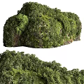 Lush Greenery Covered Garden Ornament With Diverse Plants And Fresh Foliage