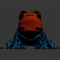 Frog Poison Frog Game Frog Reptile Cold Blooded Animal Reptile 3d model