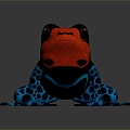 Frog Frog Frog Poison Frog Game Frog Reptile Cold Blooded Animal Reptile Reptile 3d model