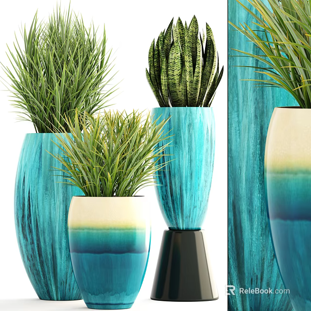 Bonsai Potted Plants in Blue and White Gradient Vases with Green Foliage for Home Decor 3d model 