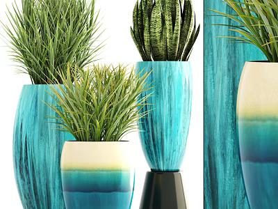 Bonsai Potted Plants in Blue and White Gradient Vases with Green Foliage for Home Decor 3d model