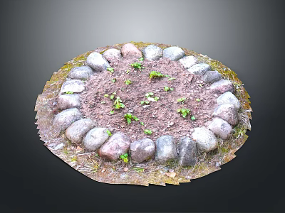 Small Green Plants Growing In Circular Stone Border With Soil 3d model