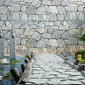 Serene Garden Scene With Stone Wall Pathway Water Lilies And Wooden Logs