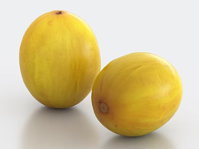 Two Fresh Ripe Yellow Melon Fruits Close Up on White Background 3d model Two Fresh Ripe Yellow Melon Fruits Close Up on White Background 3d model