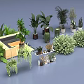 Various Potted Green Plants Including Bushes Ferns and Indoor Greenery