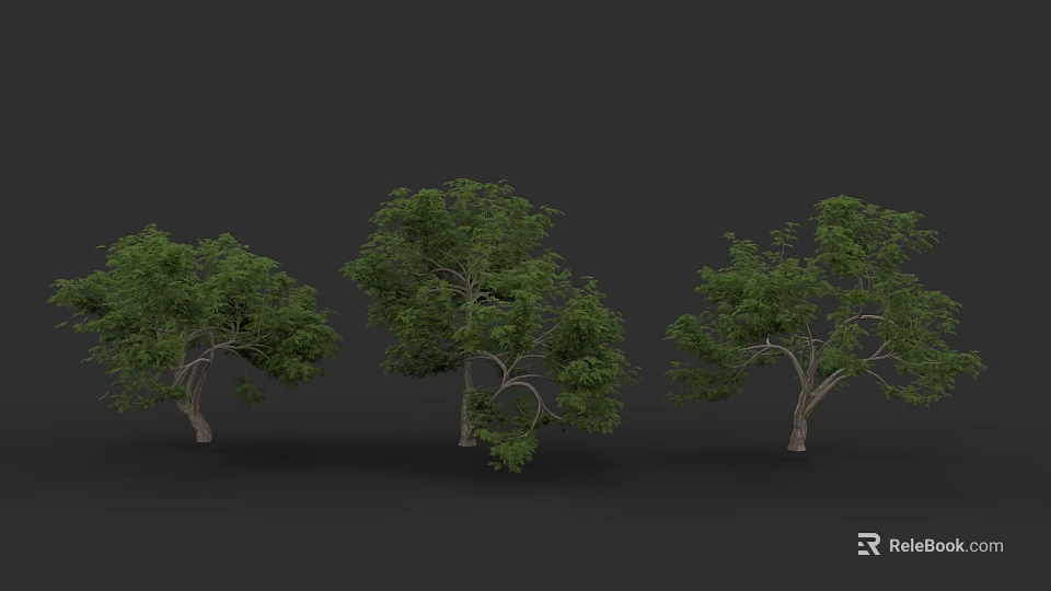 Three Trees With Green Leaves And Brown Trunks On Black Background 3d model