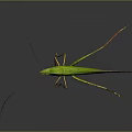 grasshopper insect cartoon locust animation locust anime locust anime game character 3d model
