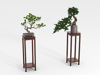 New Chinese potted plant combination 3d model