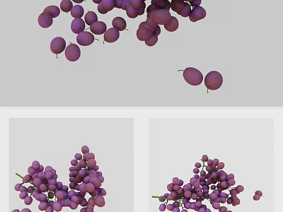 Fresh Ripe Purple Grapes Bunch Perfect for Healthy Fruit Snacking 3d model