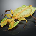 Leaf Mimicry Reptile With Green Yellow Coloration And Leaf Shaped Body Structures