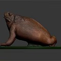 Orange Red Toad With Textured Skin Resting On Green Platform