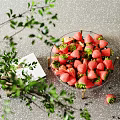 Fresh Strawberries In Ceramic Dish With Green Plants And Book On Gray Tabletop