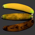 Fresh Bananas in Yellow and Brown Hues Showing Various Ripeness Stages on Black Background