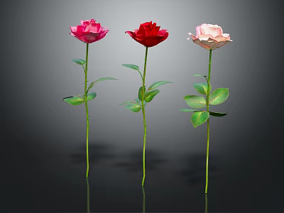 Three Pink Red and Light Pink Roses with Green Stems And Leaves on Dark Background 3d model