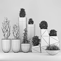 Bonsai Potted Plants In Various Concrete Planters With Different Sizes And Green Foliage