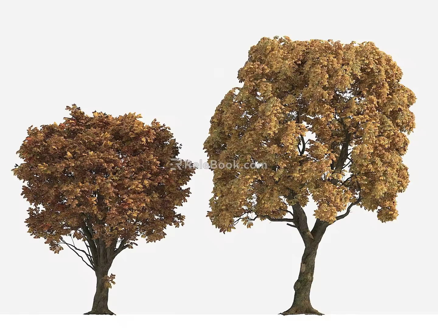 Big Tree Autumn Tree Yellow Leaf Tree 3d model