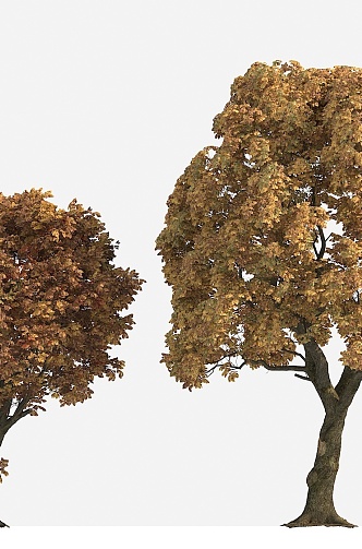 Big Tree Autumn Tree Yellow Leaf Tree 3d model