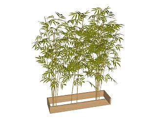Modern bamboo 3d model