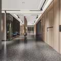 Modern Elegant Entrance Hall With Gray Walls Glass Partitions Cactus Sculpture And Metal Elements