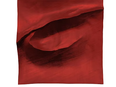 Red Textured Fabric Wall Art With Elegant Wrinkled Design And Rich Color Tone 3d model