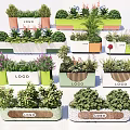 Various Bonsai Planter Designs With Logo And Green Flowering Plants