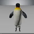 Standing Penguin With Black White Yellow Orange Neck From Back View On Gray Background