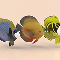 Three Colorful Vibrant Fish With Blue Yellow Orange Patterns Swimming In Aquatic Environment