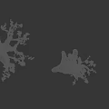 Six Trees With Pink Blossoms And Varied Trunk Shapes On Dark Background