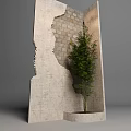 Cracked Concrete Building Exterior Wall With Exposed Brick And Small Green Tree