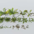 Collection of Various Green Ferns and Palm Leaves for Interior Decoration Projects