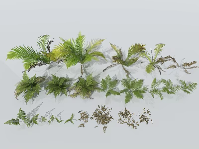 Collection of Various Green Ferns and Palm Leaves for Interior Decoration Projects 3d model