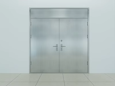 Stainless Steel Double Doors With Brushed Surface And Metal Handles For Entry Area 3d model