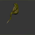 Frog Poison Frog Game Frog Reptile Cold Blooded Animal Reptile 3d model