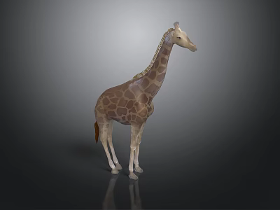 Detailed Giraffe Model Featuring Long Neck Spotted Fur And Mane Details 3d model