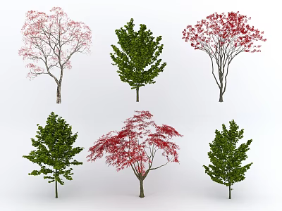 Diverse Arbor Varieties with Green Red and Pink Foliage for Landscaping 3d model