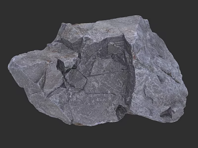 Natural Wood Stone With Rough Surface And Detailed Cracked Texture 3d model