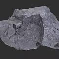 Natural Wood Stone With Rough Surface And Detailed Cracked Texture