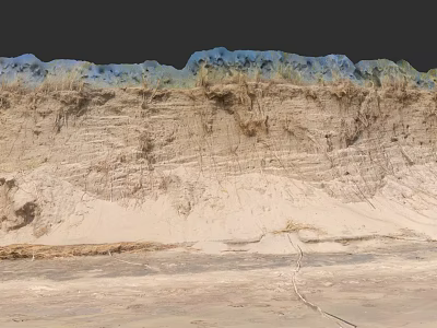 Microtopography Natural Landscape With Stratified Soil Grass And Surface Texture Details 3d model