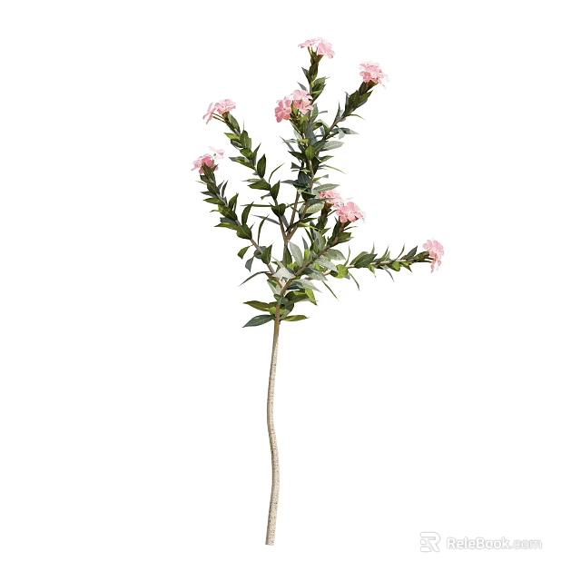 Elegant Ornamental Tree With Pink Flowers Green Leaves And Slender Branches 3d model 