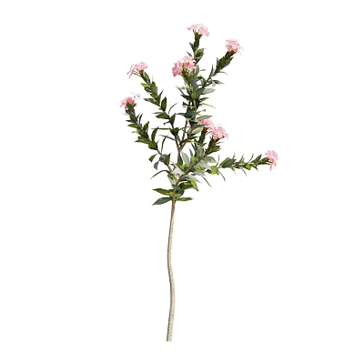 Elegant Ornamental Tree With Pink Flowers Green Leaves And Slender Branches 3d model