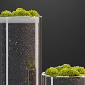 Decorative Bonsai Plants in Glass Vases with Green Moss on Stacked Books
