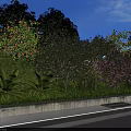 Purple Flowering Bushes With Green Ferns In Grass Area By Concrete Edge Under Blue Sky